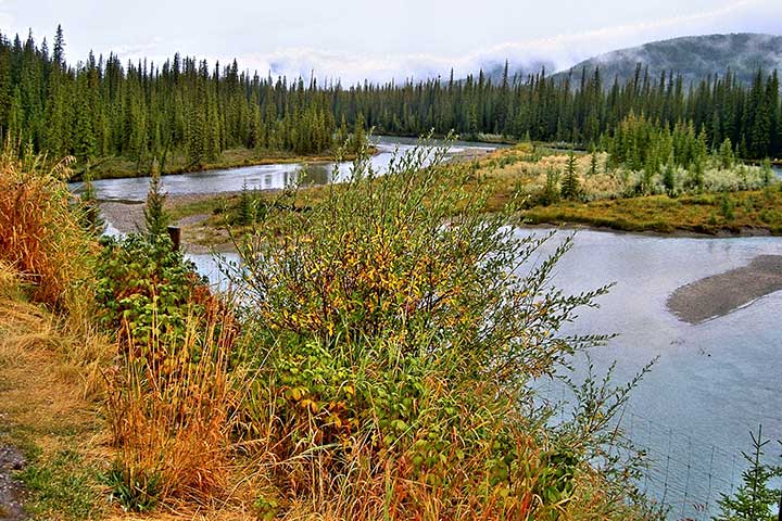 Sehensw&uuml;rdigkeiten in Kanada - Bow River im Banff-Nationalpark