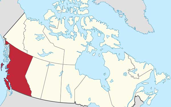 Vancouver Aquarium - Sehenswürdigkeiten Kanada